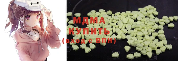 индика Бронницы