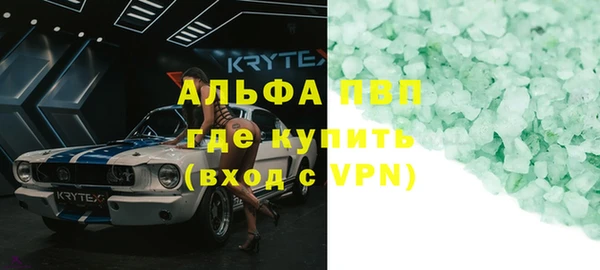 индика Бронницы