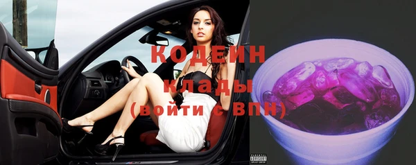 индика Бронницы