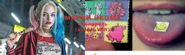 индика Бронницы
