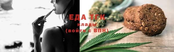 индика Бронницы