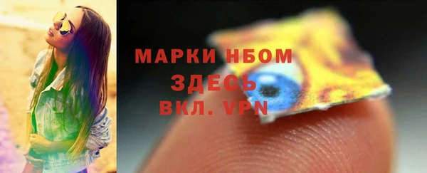 индика Бронницы