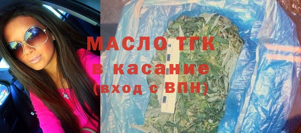 индика Бронницы