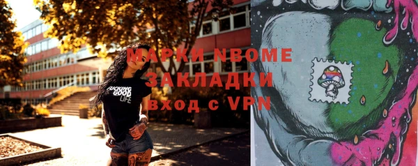 индика Бронницы