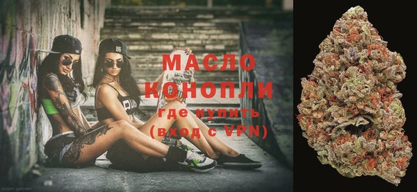 индика Бронницы