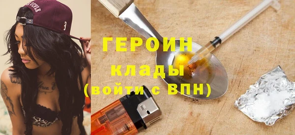 индика Бронницы