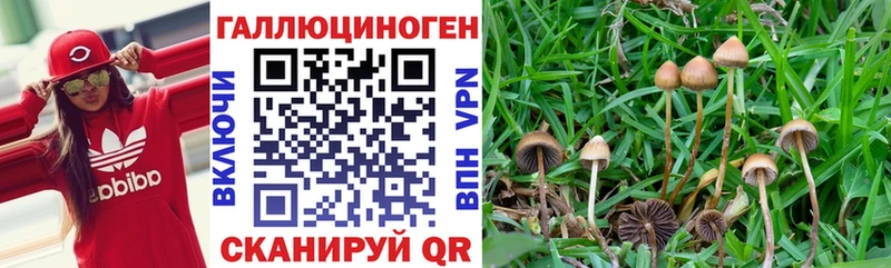 Галлюциногенные грибы мицелий  Купить закладки  Белоусово 
